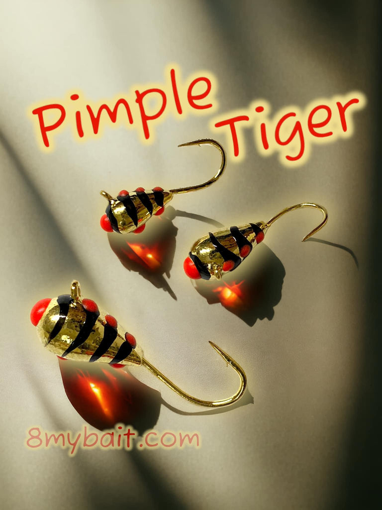 PIMPLE TIGER